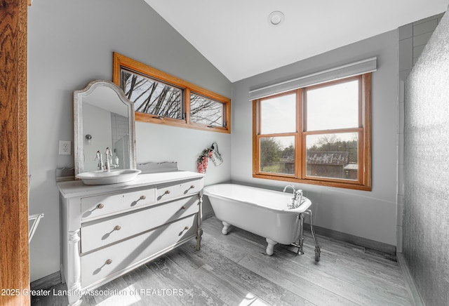13577 Upton Rd, Bath, MI 48808 - full bath with lofted ceiling, vanity, a freestanding bath, plenty of natural light, and wood finished floors