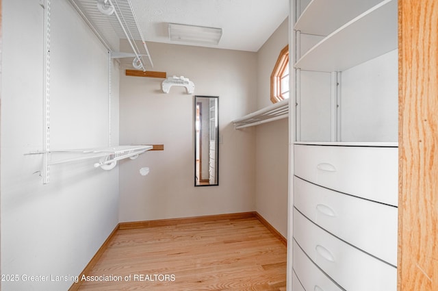 13577 Upton Rd, Bath, MI 48808 - walk in closet with light wood-type flooring