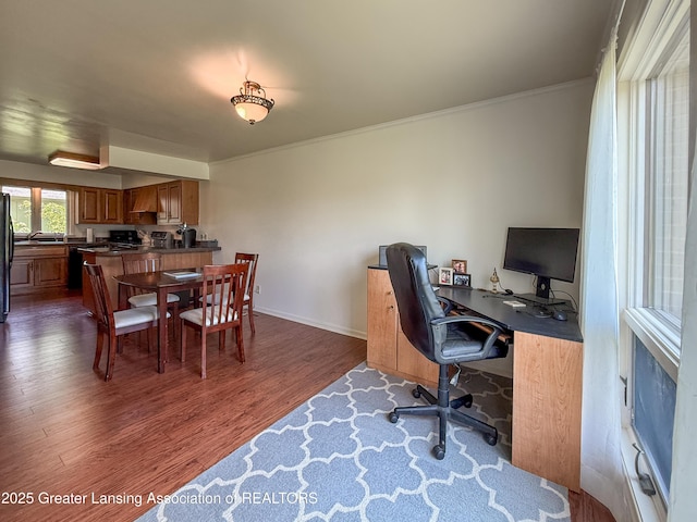 515 N Putnam St Unit B, Williamston, MI 48895 - office featuring dark wood-style floors, ornamental molding, baseboards, and a sink