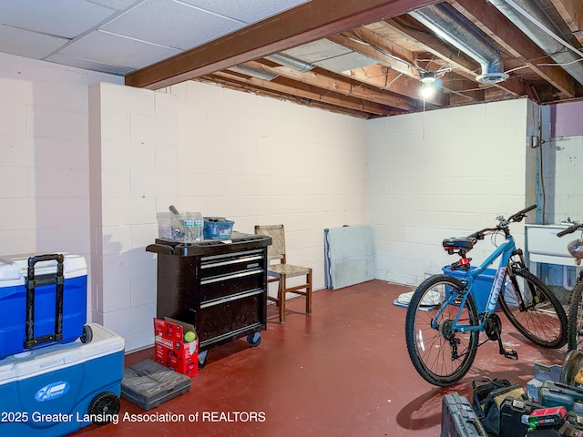 515 N Putnam St Unit B, Williamston, MI 48895 - unfinished below grade area with concrete block wall