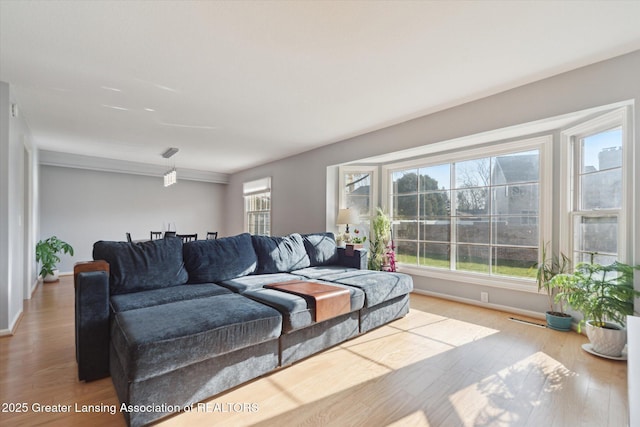 living room with baseboards and wood finished floors