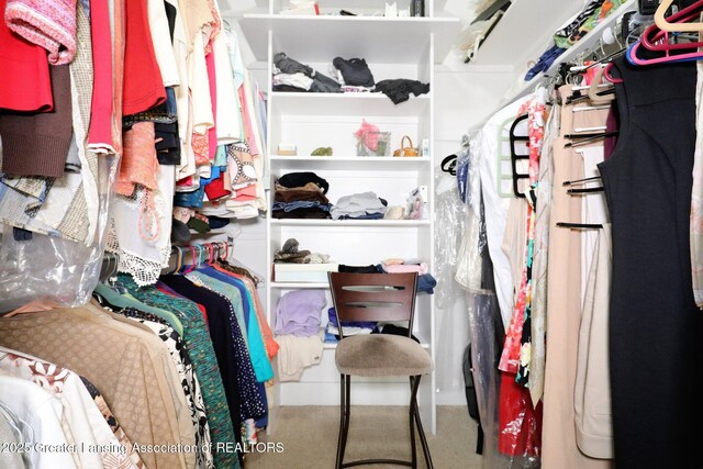 view of spacious closet