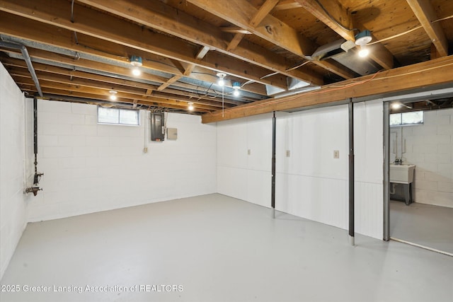 3427 W Jolly Rd, Lansing, MI 48911 - below grade area with a sink and electric panel