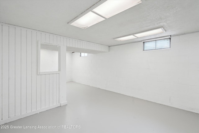 3427 W Jolly Rd, Lansing, MI 48911 - view of below grade area