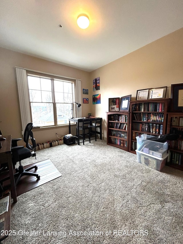 office space featuring carpet