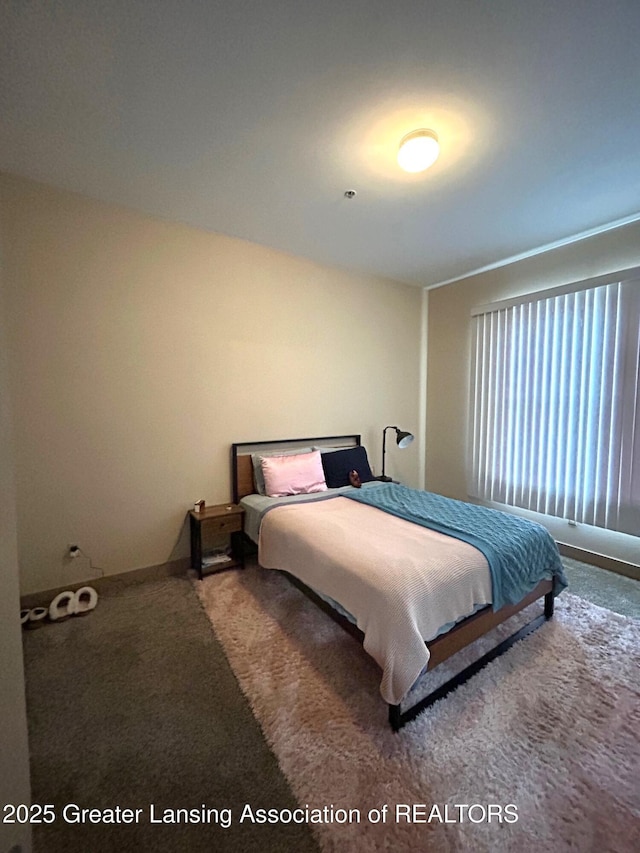 bedroom with carpet flooring