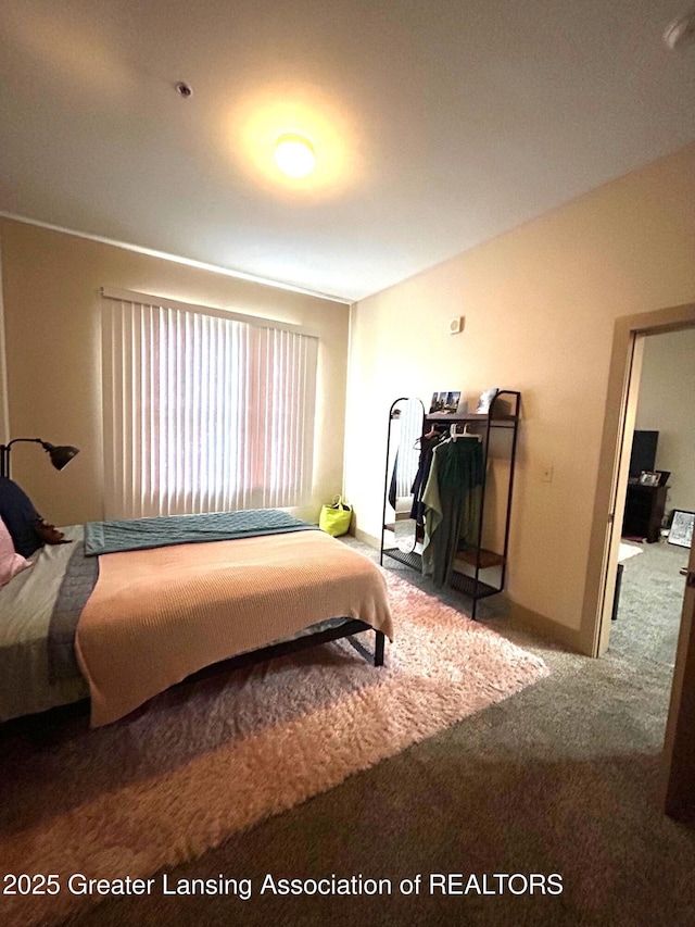 bedroom featuring carpet flooring