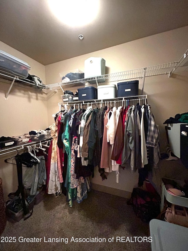 spacious closet with carpet flooring