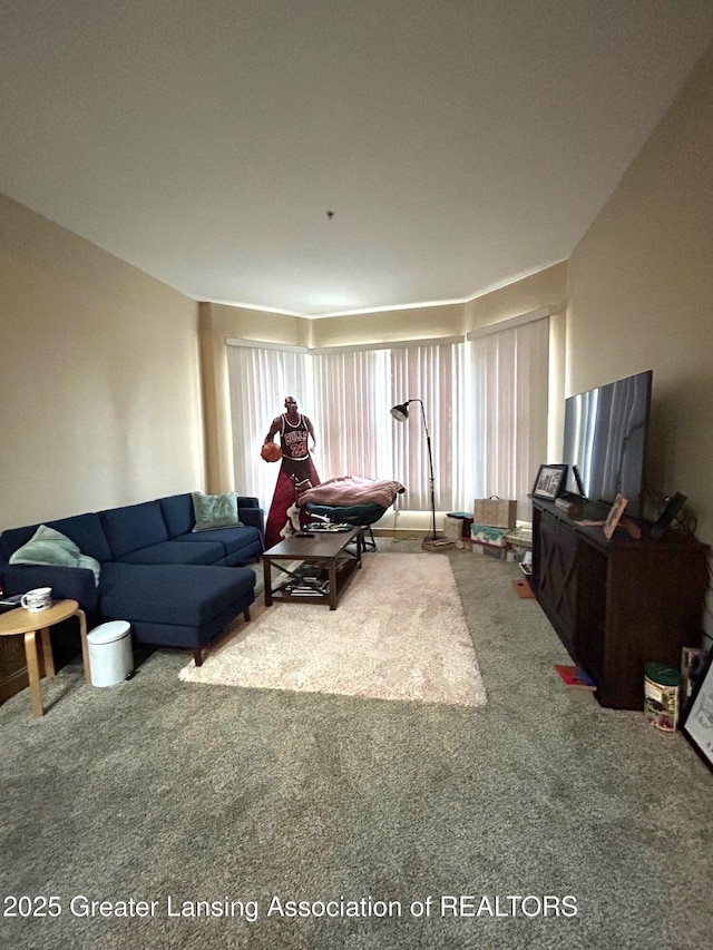 living area with carpet