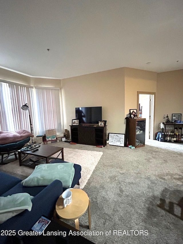 living area featuring carpet