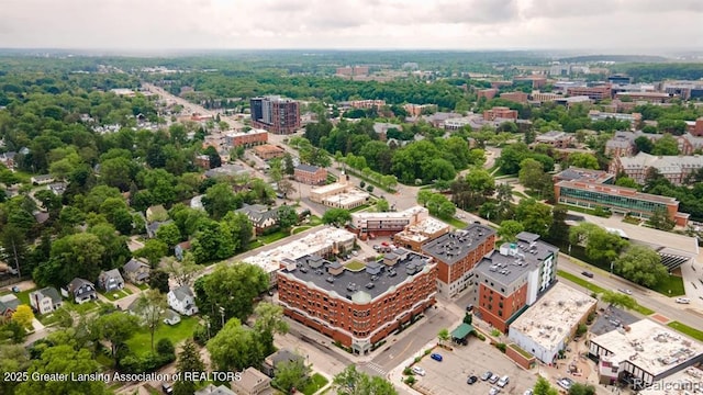 bird's eye view