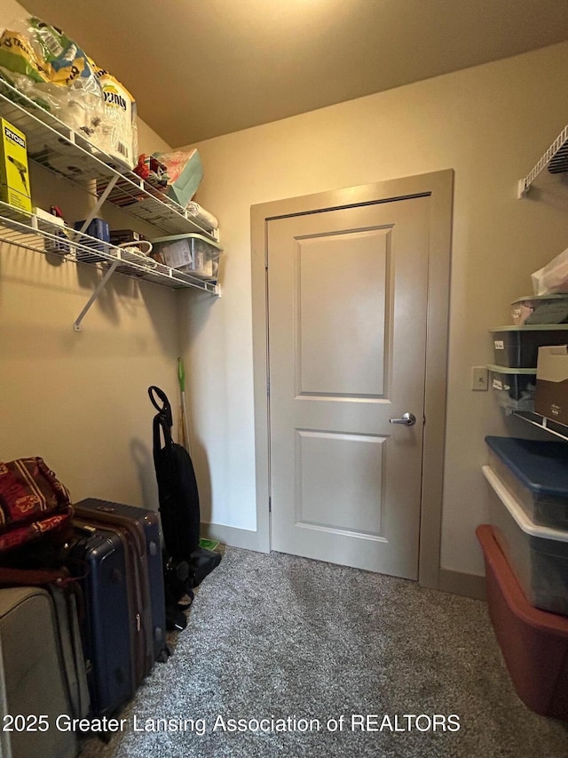 spacious closet with carpet floors