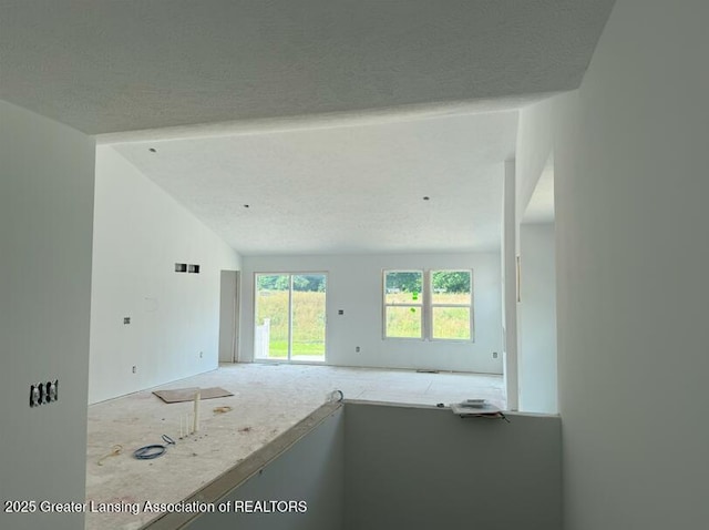 14020 Pristine Ct, Dewitt, MI 48820 - photo 9