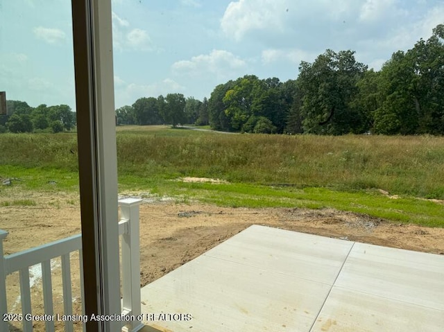 14020 Pristine Ct, Dewitt, MI 48820 - photo 11