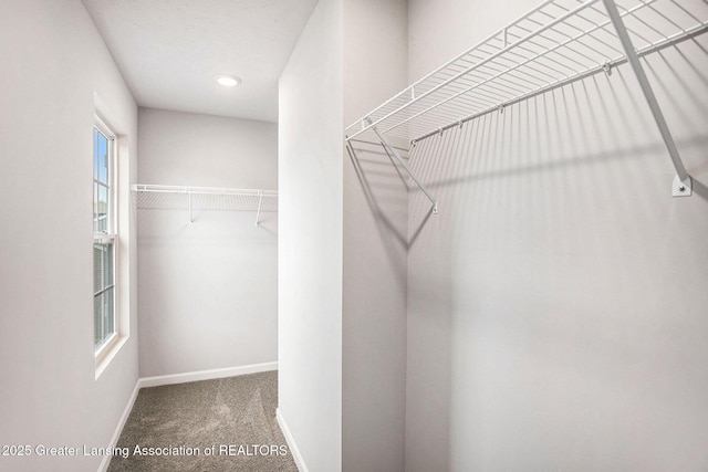 4493 Sunset Dr, Potterville, MI 48876 - spacious closet with carpet floors