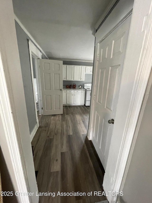 325 N Pennsylvania Ave, Lansing, MI 48912 - corridor with dark wood-style floors