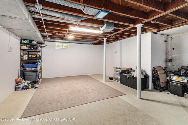 below grade area featuring concrete block wall