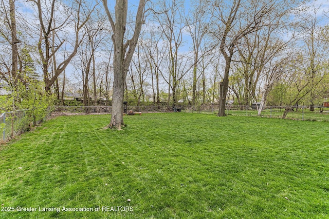 view of yard with a fenced backyard