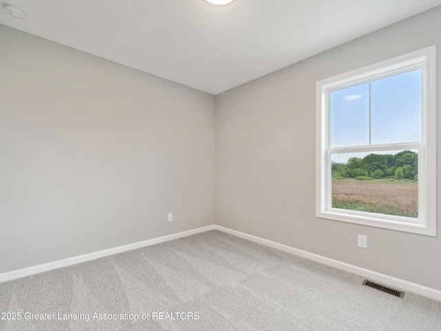 5647 Skylar Dr, Holt, MI 48842 - photo 39