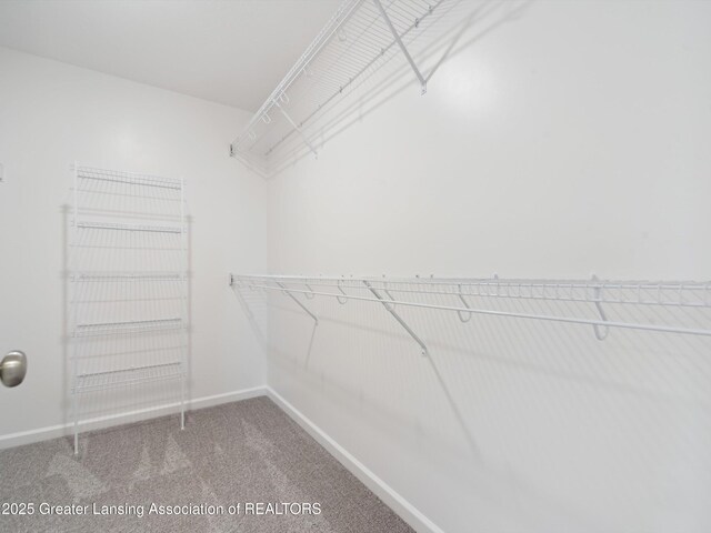 5647 Skylar Dr, Holt, MI 48842 - photo 43