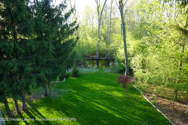 view of yard featuring a water view