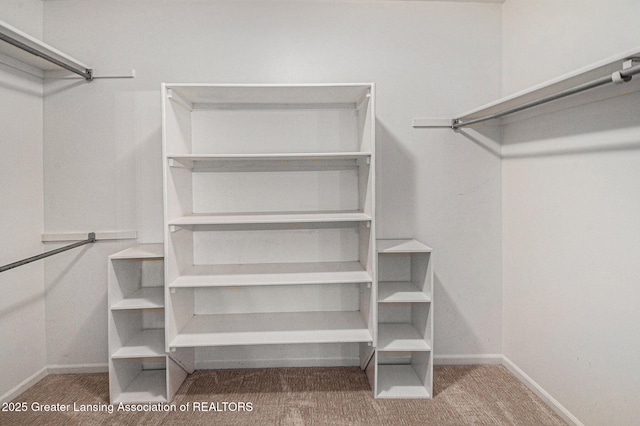 spacious closet with carpet
