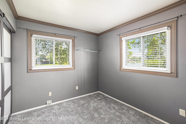 4932 Ottawa Ct, Owosso, MI 48867 - photo 26
