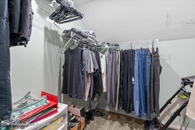 walk in closet featuring carpet floors
