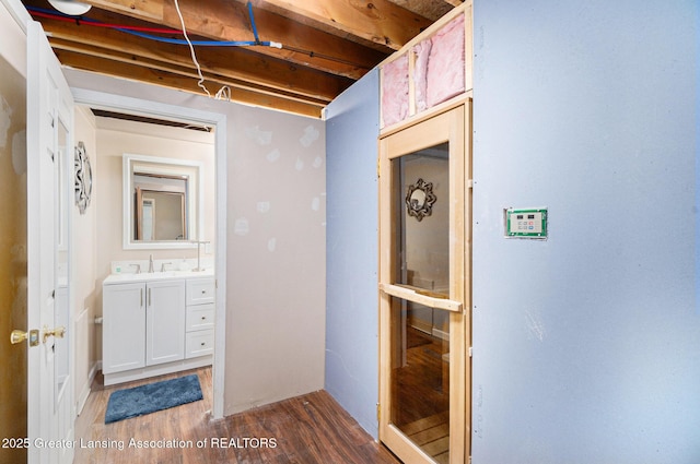 interior space featuring vanity and wood finished floors