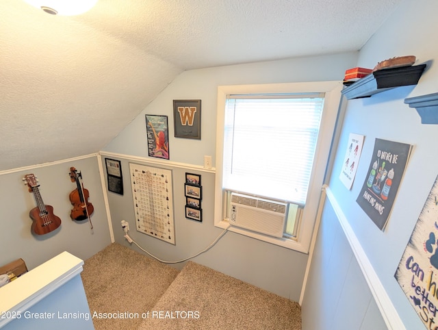 interior space with vaulted ceiling, a textured ceiling, and carpet flooring