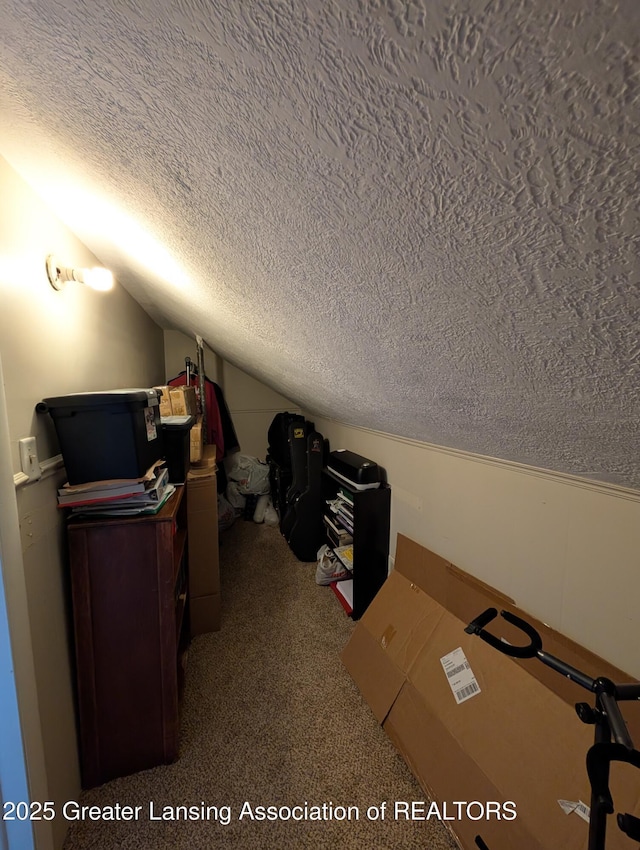 additional living space with lofted ceiling, a textured ceiling, and carpet