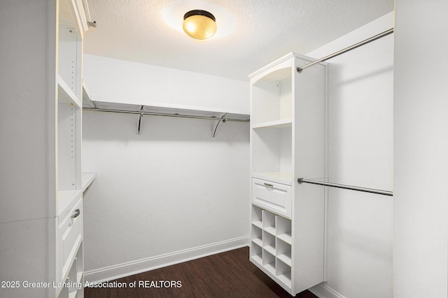 12714 Ospreys Way, Dewitt, MI 48820 - walk in closet featuring dark wood-type flooring