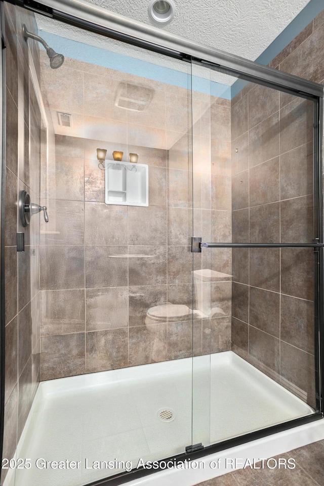 12714 Ospreys Way, Dewitt, MI 48820 - bathroom with a textured ceiling and a shower stall