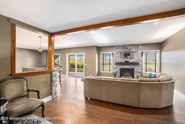 12714 Ospreys Way, Dewitt, MI 48820 - living room featuring plenty of natural light, baseboards, wood finished floors, and a fireplace