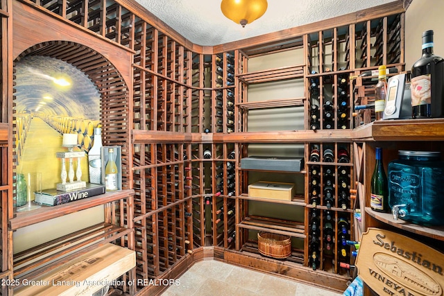 12714 Ospreys Way, Dewitt, MI 48820 - view of wine room