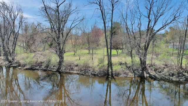 0 E Jefferson St, Dimondale, MI 48821