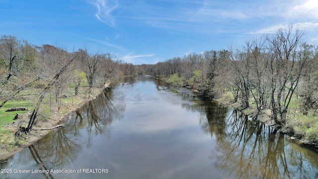 0 E Jefferson St, Dimondale, MI 48821