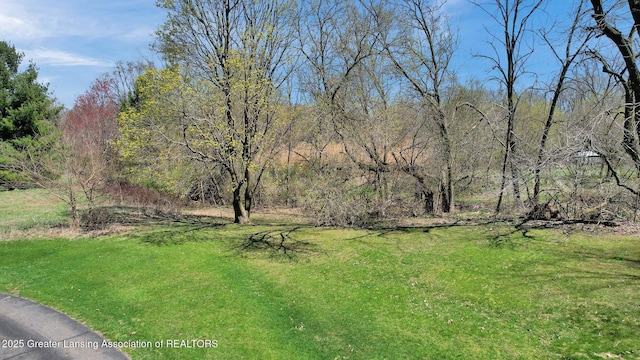 0 E Jefferson St, Dimondale, MI 48821