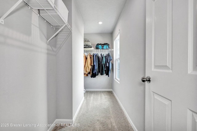 12001 Bryde Dr, Rives Junction, MI 49277 - walk in closet featuring carpet