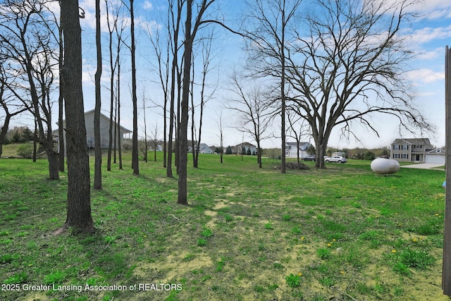 12001 Bryde Dr, Rives Junction, MI 49277 - view of yard