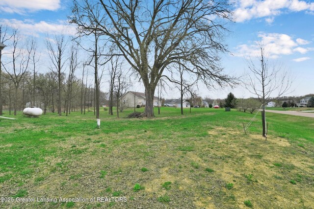 12001 Bryde Dr, Rives Junction, MI 49277 - view of yard