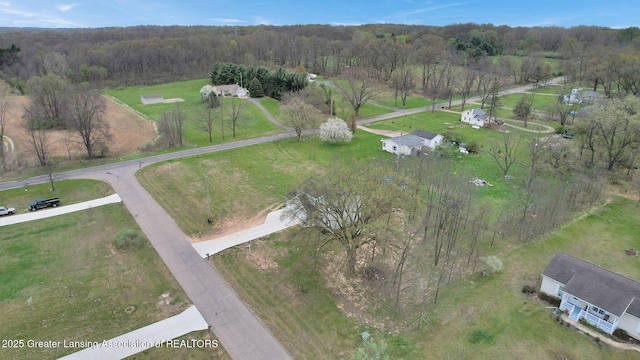 12001 Bryde Dr, Rives Junction, MI 49277 - drone / aerial view featuring a rural view and a forest view