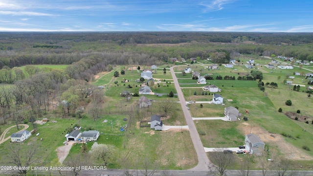 12001 Bryde Dr, Rives Junction, MI 49277 - aerial view featuring a forest view
