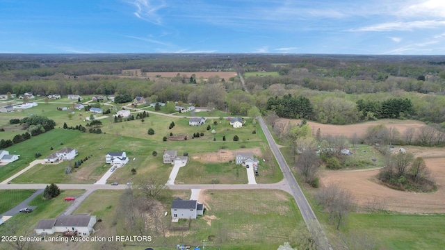 12001 Bryde Dr, Rives Junction, MI 49277 - bird's eye view featuring a view of trees