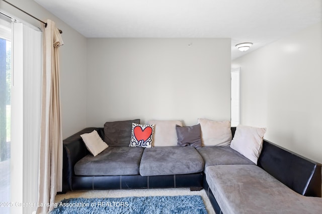 living area featuring carpet flooring