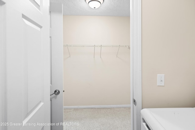 spacious closet featuring carpet flooring