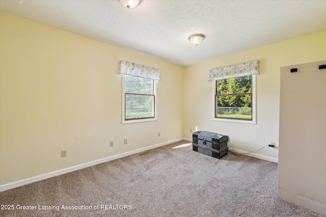 spare room with baseboards, a textured ceiling, carpet, and a healthy amount of sunlight