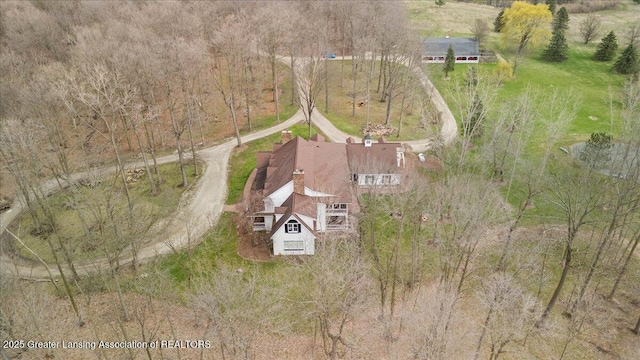 1785 N Williamston Rd, Williamston, MI 48895 - aerial view