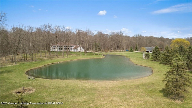 1785 N Williamston Rd, Williamston, MI 48895 - water view featuring a view of trees
