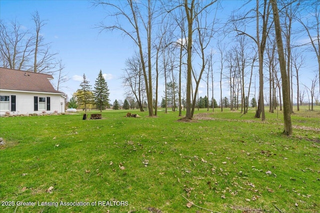 1785 N Williamston Rd, Williamston, MI 48895 - view of yard